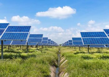 Becthel to deliver Oriana Solar farm for Sabanci Renewables