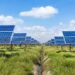 Becthel to deliver Oriana Solar farm for Sabanci Renewables