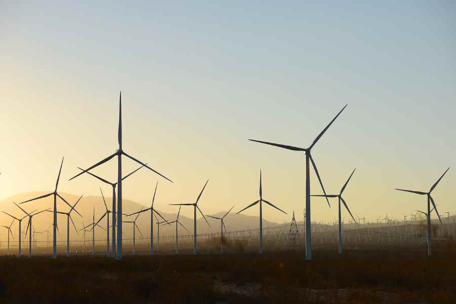 Vestas Secures Order for 319 MW Cimarron Wind Farm in Tecate - Mexico